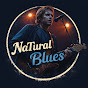 Y0_-k20TxmU-channel-avatar-NaTural Blues Rock