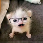 MR PRT