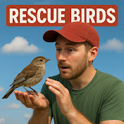 Love Birds THP