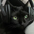 mEDJ7bmTZlc-channel-avatar-𝗵 𝗮 𝗸 𝗮 𝗻 𝗮 ★彡