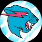 Mr. beastfan01 logo
