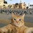 _oNolTkquRI-channel-avatar-Overki1l