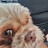 @Aidentheking-wilson