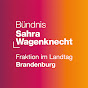 BSW-Fraktion im Landtag Brandenburg logo