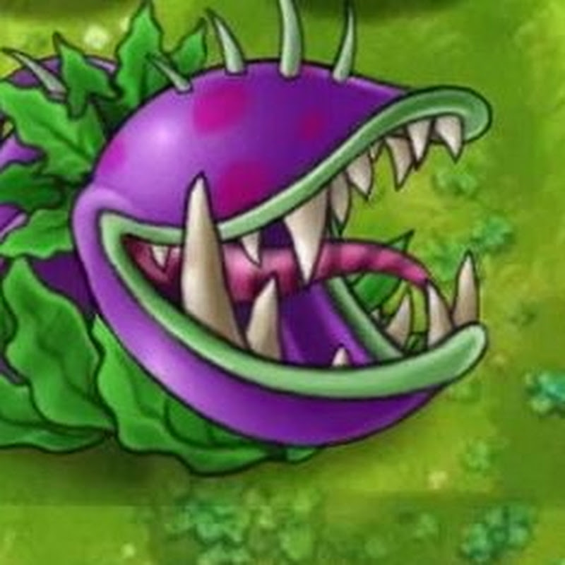 coBra Pvz