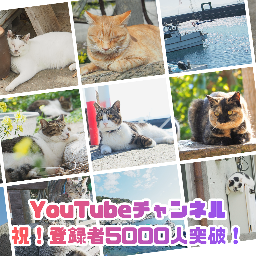 ◆❁ ねこ ❁◆ YouTube