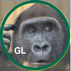 Gorilla Life (GL Ryan) / ゴリラ ライフ