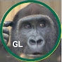Gorilla Life (GL Ryan) / ゴリラ ライフ Avatar