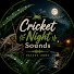 w3-OThDGXVg-channel-avatar-Cricket Night Sounds