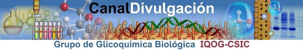 CanalDivulgaciÃ³n رمز قناة اليوتيوب