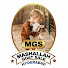 j_feNjXR9Gk-channel-avatar-Mashallah Goats Hyderabad