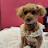 @jeff1998-u8j