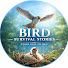 XTp7wKUu9xo-channel-avatar-Bird Survival Stories