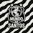 oPPmgvXLYgE-channel-avatar-Mundo do Santos
