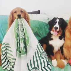 AVANTI Adestra PALMEIRAS