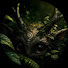3bLrrgNtkik-channel-avatar-Root Signal 