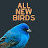 ysoF7aeZSRI-channel-avatar-All New Birds