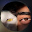 @sandeep777-c4n