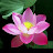 @phapvuong1's avatar