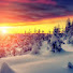 NNTSCAtXTTo-channel-avatar-Digital winter bliss