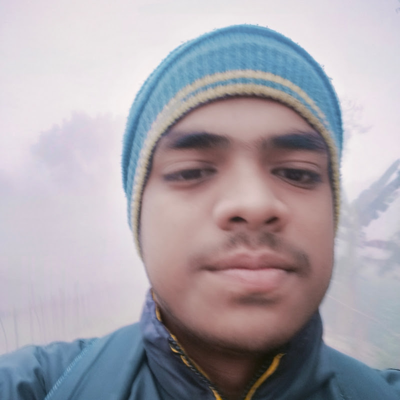 HL Designer