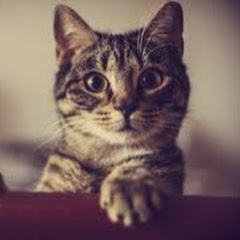 スカッとじゃぱん