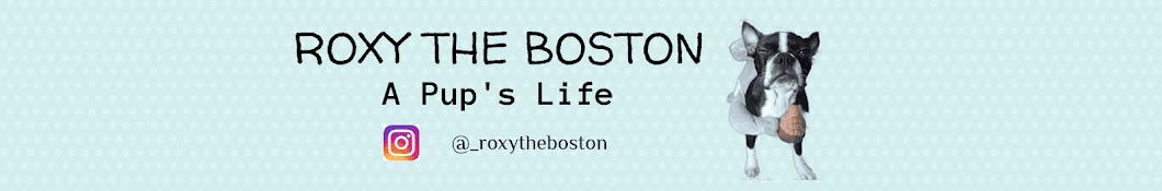 Roxy The Boston YouTube channel avatar