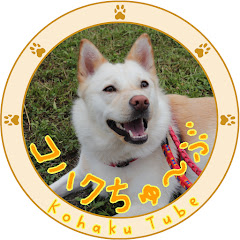 コハクちゅーぶ/Kohaku Tube