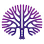 Amsterdam Psychedelic Research Association logo