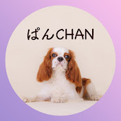 ぱんCHAN