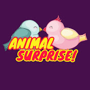 Animal Surprise