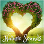Calmsound, Rain Sounds & Nature Sounds - หัวข้อ