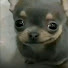 o2kvB6Ir_zA-channel-avatar-Sunkyishappy