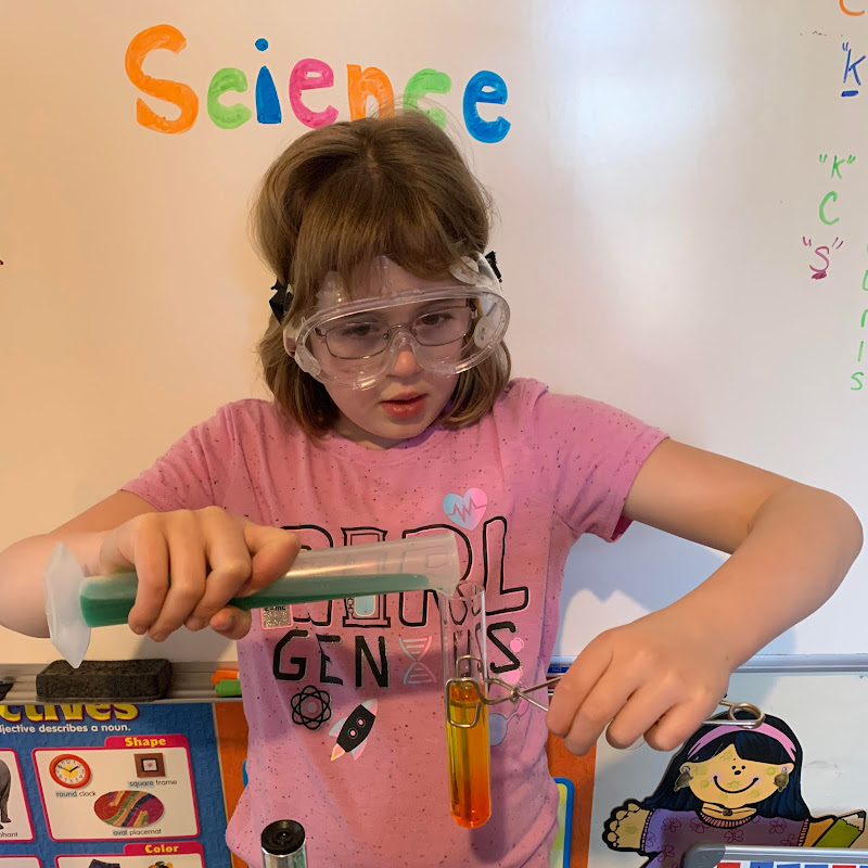 Homestead House Science Experiments avatar