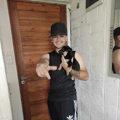 Diendo