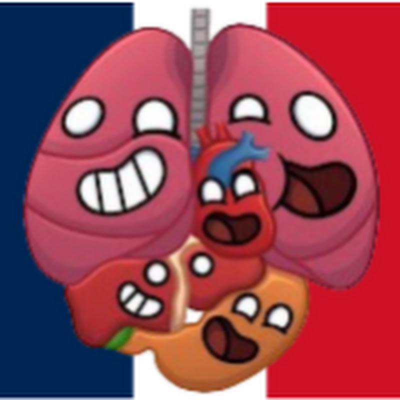 HumanBuddy Français