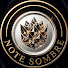 sXphchwrj7w-channel-avatar-Note Sombre