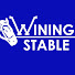 jkaKtkJhK4M-channel-avatar-Wining Stable