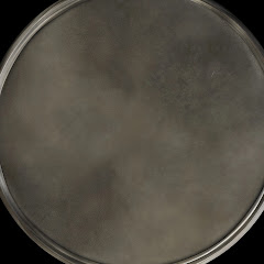 SHMVEVO