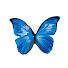 RPWZXhtiyFk-channel-avatar-The Butterfly Effect Podcast