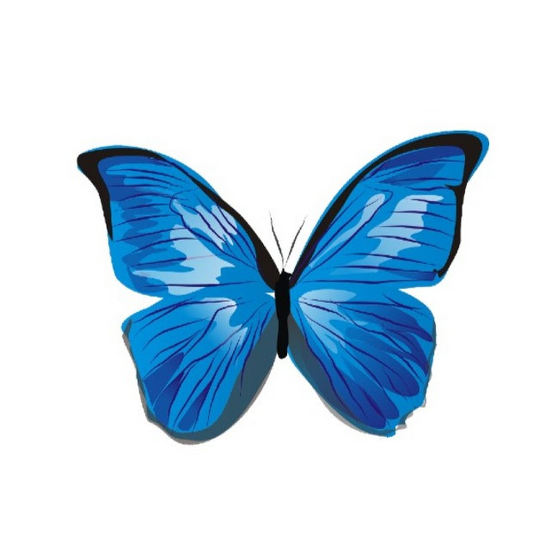 The Butterfly Effect Podcast