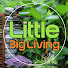 6anqsa2JrFI-channel-avatar-Little Big Living