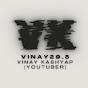 Vinay29.5  logo