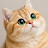 @theMiaow's avatar