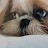 @user-icegold