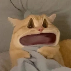 馋嘴山萌主アイコン画像