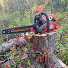 YKYpNLaVzP8-channel-avatar-Fabz Acres - East Coast Muscle Saws 