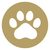 J&L Da-Fiスタジオ