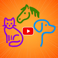 Team Pets Brasil