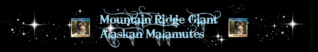 Mountain Ridge Malamutes YouTube channel avatar